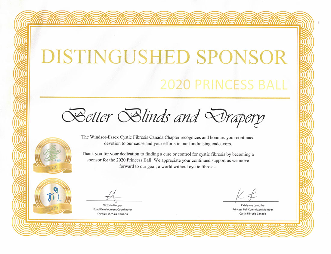 Distingushed Sponsor 2020 Princess Ball