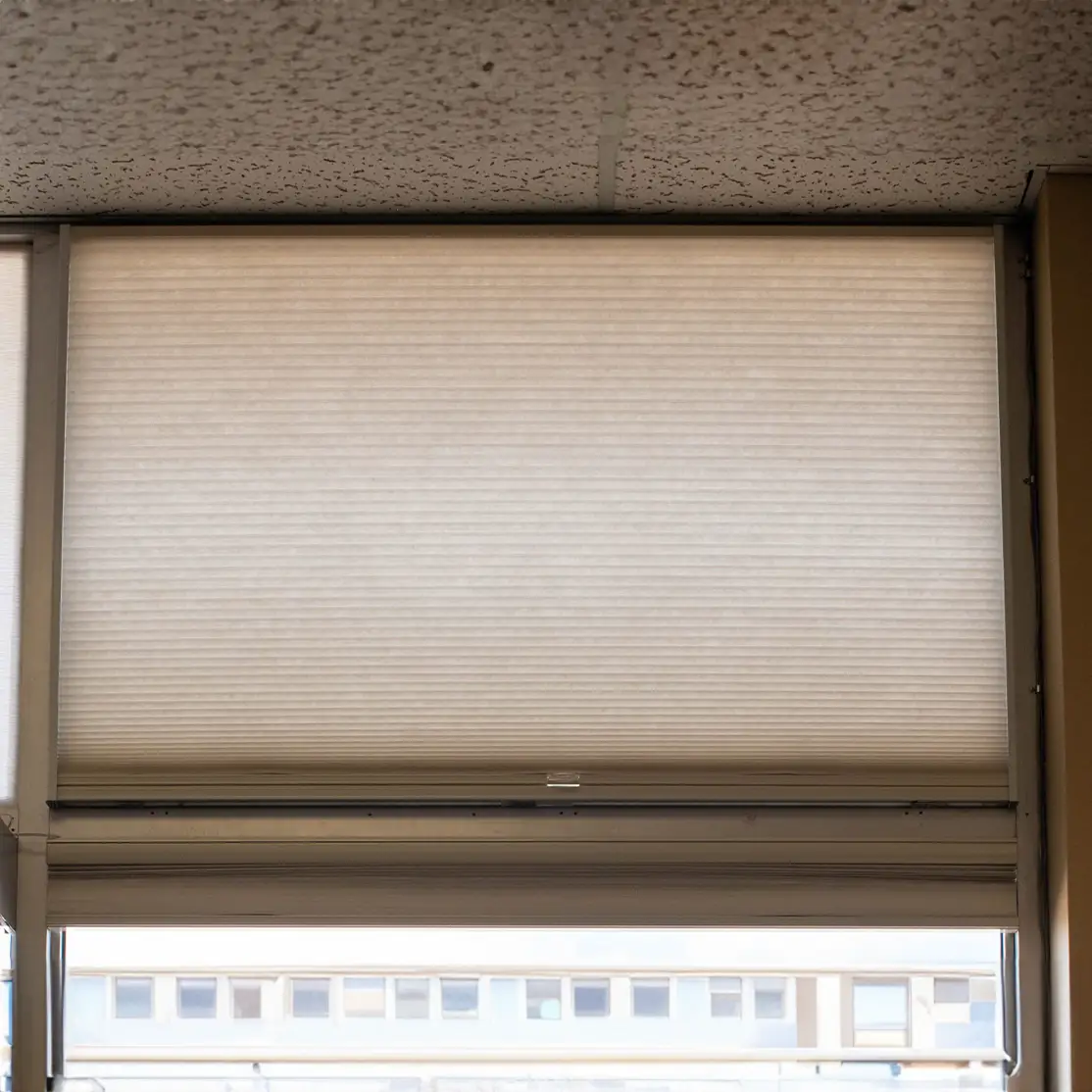Cellular Skylight